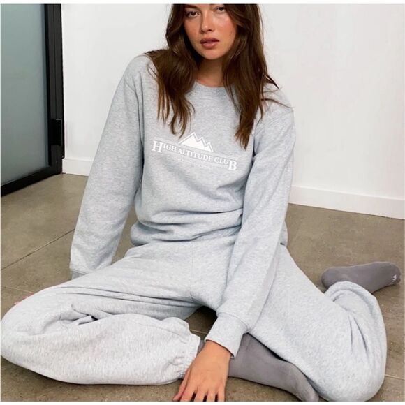 Aritzia Tna Cozy Fleece Boyfriend High Altitude Club Crew Sweatshirt Size Small - Picture 1 of 8